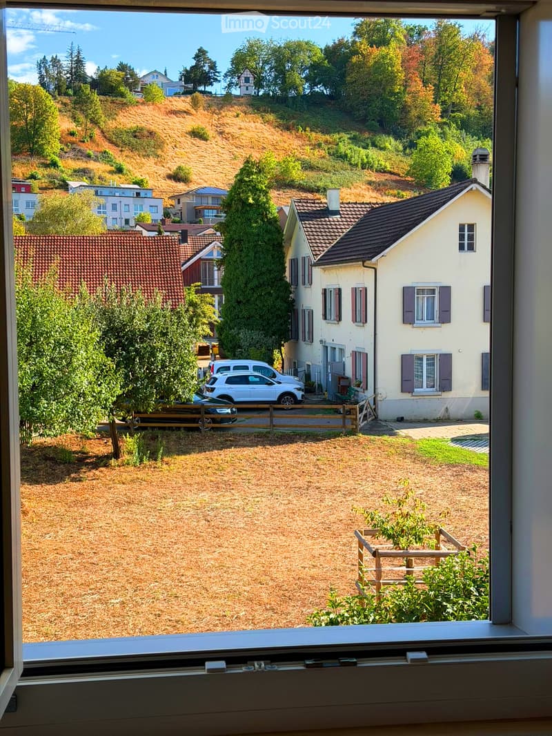 View from a window showing a suburban neighborhood with houses, trees, and a grassy yard with mulch.