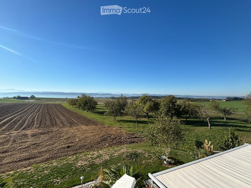 A panoramic view of a rural landscape with cultivated fields, scattered trees, and distant mountains under a clear blue sky.