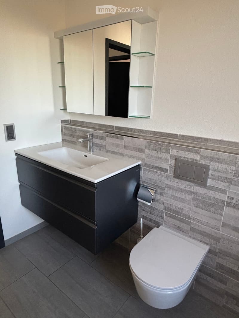 Modern bathroom with a white sink, dark cabinet, grey tiled walls, and a white toilet.