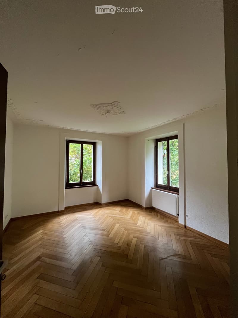 Empty room with wooden herringbone flooring, two windows with black frames, white walls, and a radiator under one window.