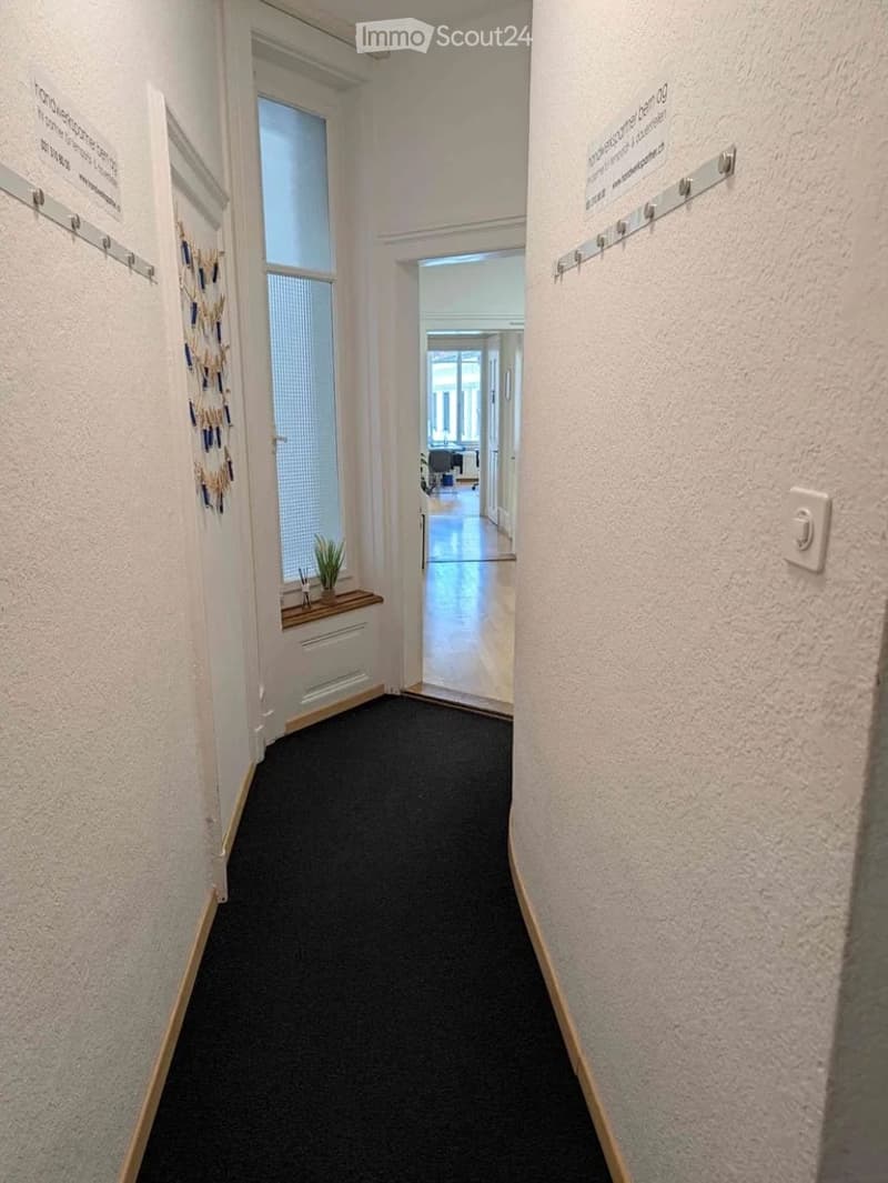 A clean, well-lit hallway with a dark carpeted floor, white walls, and a small window with blinds. There is a coat rack on the left and a small plant on a shelf near the window. The hallway leads to an open area with more rooms visible in the background.