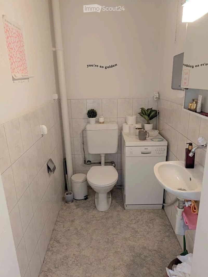Compact bathroom with a toilet, sink, dishwasher, and small potted plants. The walls are tiled, and the floor is carpeted.
