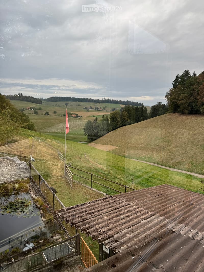 View from a rooftop showing a fenced garden area with a small pond, grassy fields, and distant hills under a cloudy sky.