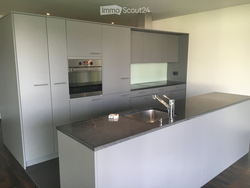 Modern kitchen with grey cabinets, stainless steel oven, sink, and faucet, featuring a dark countertop and wooden flooring.