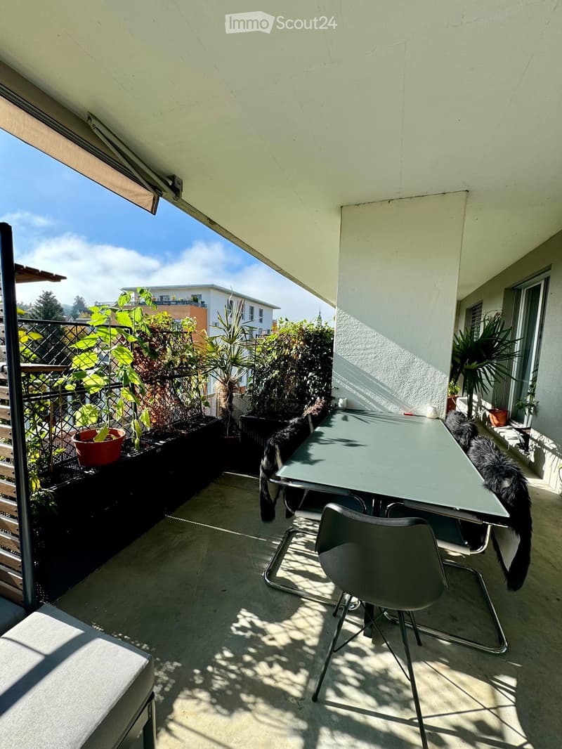 Balcony with a table and chairs, surrounded by potted plants and a cat, with a view of the city and clear sky.