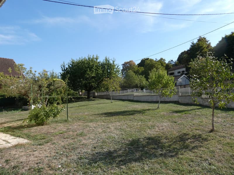 A grassy backyard with trees, a fence, and a small structure in the background.