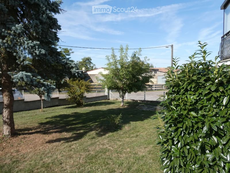 Well-maintained lawn with several trees and shrubs, a fence, and a clear blue sky. The area is enclosed and features a mix of green grass and some bare patches.