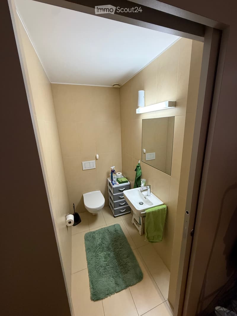 Compact bathroom with a toilet, sink, mirror, and storage unit. Features a green towel, rug, and cleaning supplies on the counter.