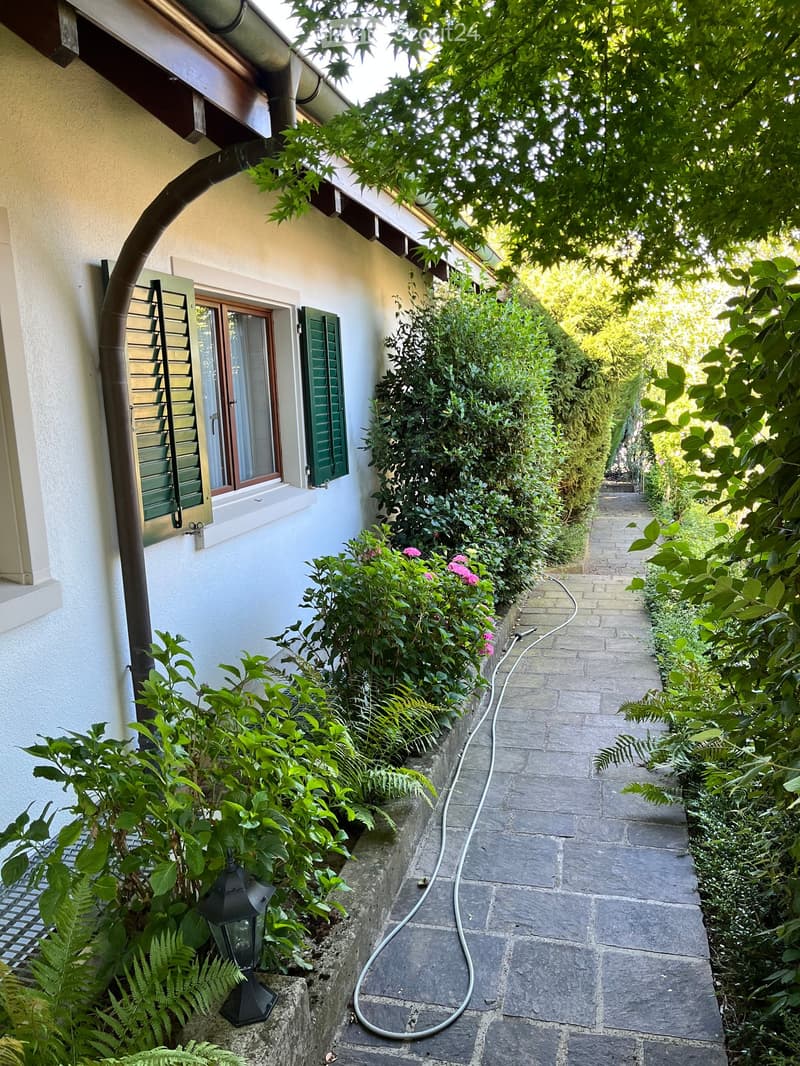 A narrow garden path lined with lush greenery and flowers, leading to a house with white walls and green shutters.