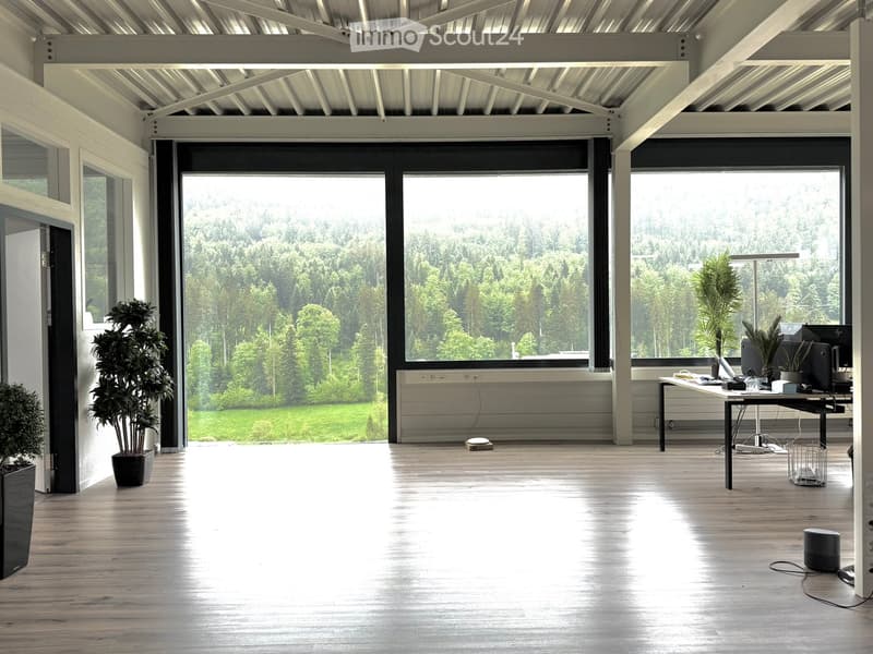 Open-plan office space with wooden flooring, large windows overlooking a green landscape, a desk with a laptop, and potted plants.