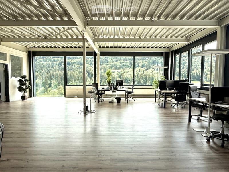 Open-plan office space with wooden flooring, large windows overlooking a forested area, several desks with chairs, computers, and office equipment.