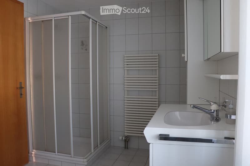 Modern bathroom with a white tiled shower stall, a white sink with a chrome faucet, a white radiator, and a mirror above the sink.