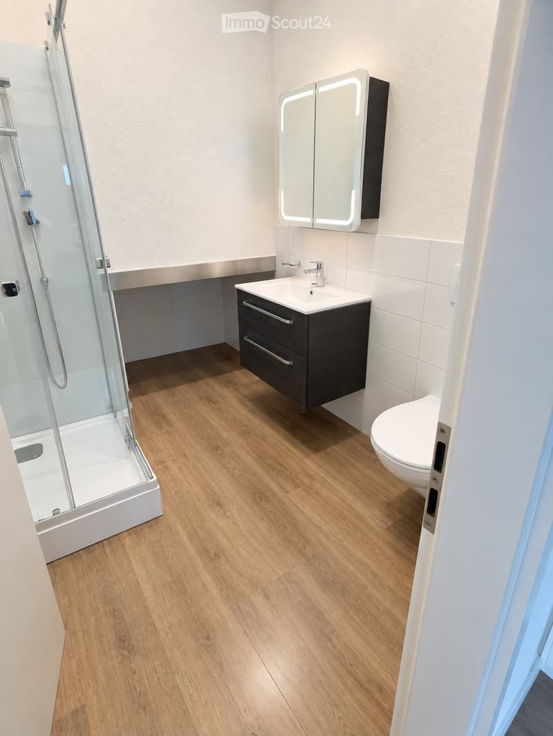 Modern bathroom with wooden flooring, a black vanity cabinet, a white sink, a toilet, a mirrored cabinet, and a glass-enclosed shower area.