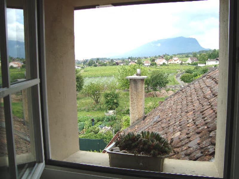 large window, view of mountain, garden, tiled roof, potted plant
