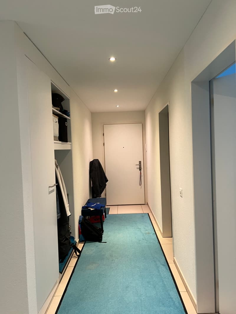 A narrow hallway with light blue carpeting, white walls, and recessed ceiling lights. A white closet with shelves is visible on the left, and a closed door is at the end of the hallway.