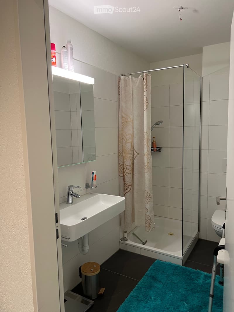Modern bathroom with a white sink, mirror, shower with glass enclosure, and a toilet. Includes a blue rug, a small trash can, and toiletries on the sink and shower shelf.