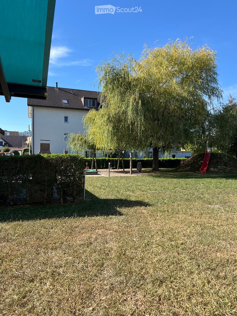 Lawn area with a large weeping willow tree, a small playground with swings and a slide, and a hedge border.