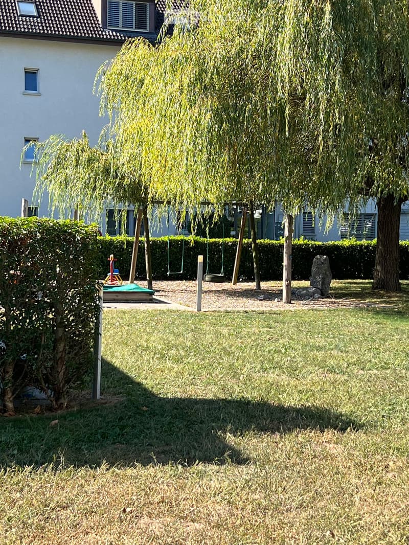 Well-maintained garden with a grassy lawn, a swing set, a play structure, and a large weeping willow tree. The background features a modern house with multiple windows and a tiled roof.