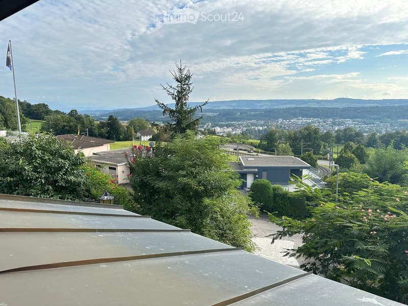A panoramic view from a rooftop terrace overlooking a town with houses, trees, and distant hills under a partly cloudy sky.