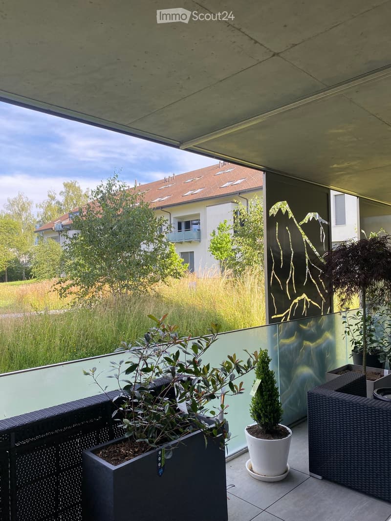 Balcony with modern glass railing, potted plants, and a wicker chair.