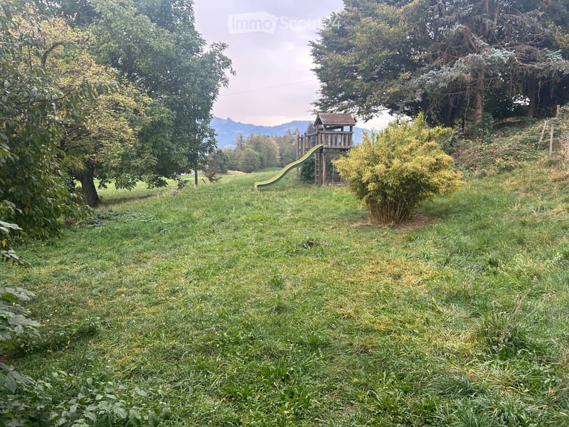 Lush green lawn with trees, a small wooden playhouse, and a yellow slide in the background.