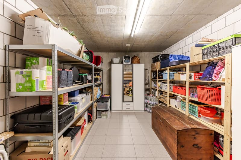 Storage room with metal shelving units, wooden shelves, and various stored items including suitcases, boxes, and a refrigerator.
