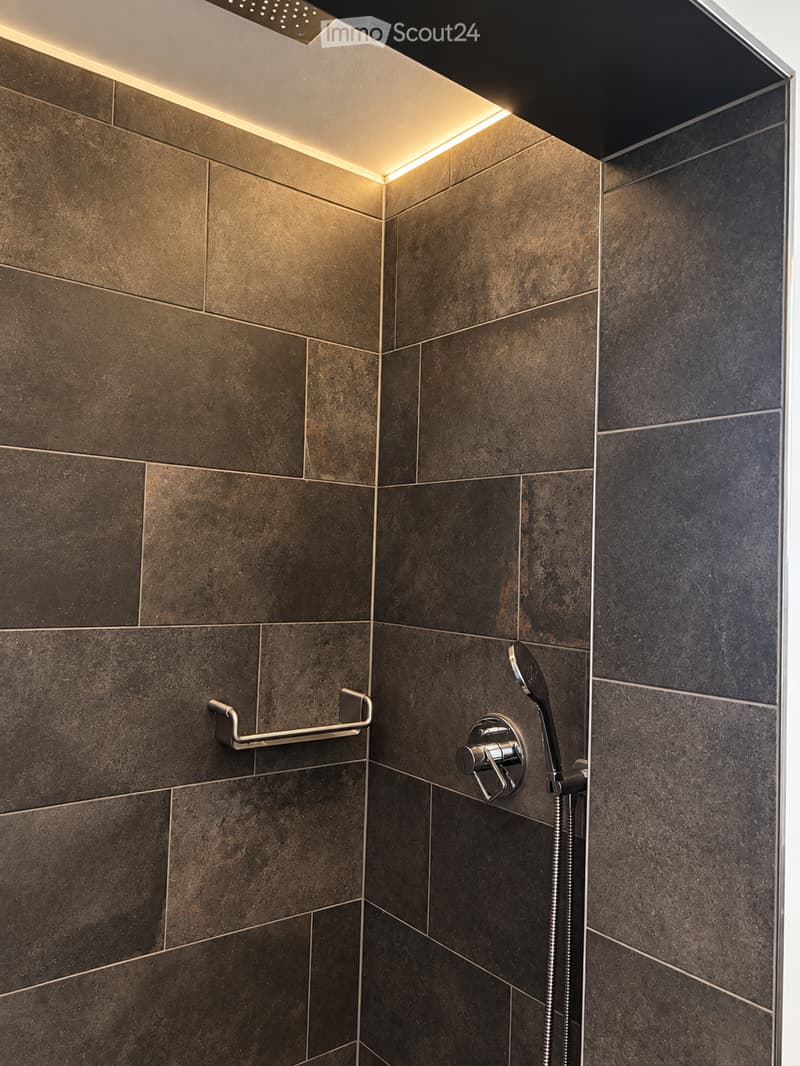 Modern shower area with dark brown tiles, built-in LED lighting along the edges, a handheld showerhead, and a handrail for support.