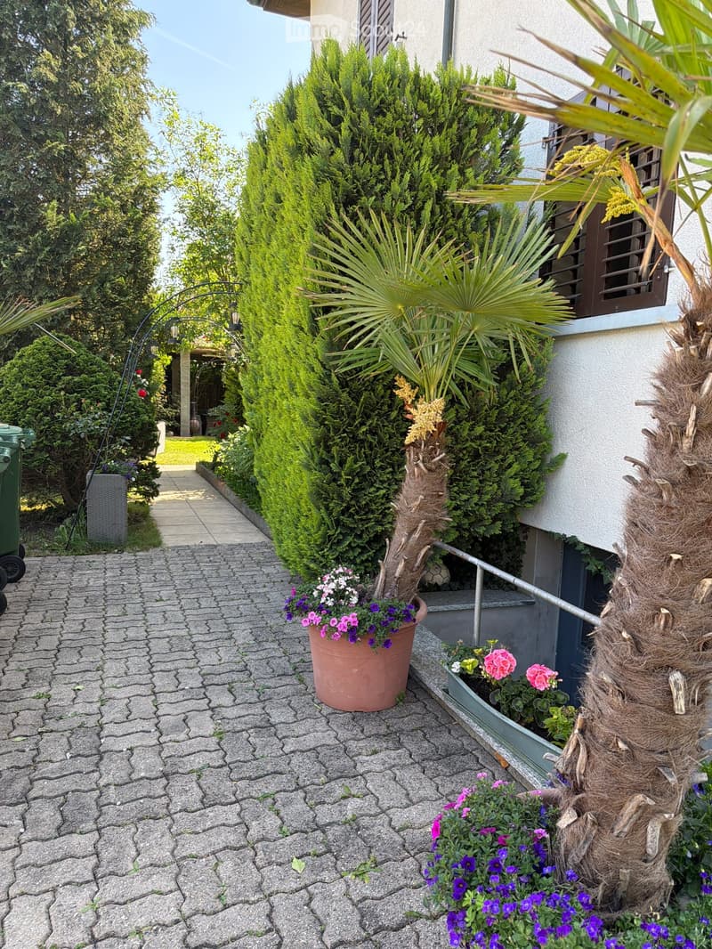 Garden pathway lined with potted plants and flowers, leading to a house entrance with a staircase and railing.