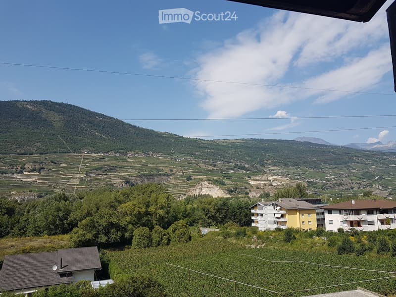 A scenic view from a balcony or terrace overlooking a valley with vineyards, houses, and distant mountains under a partly cloudy sky.