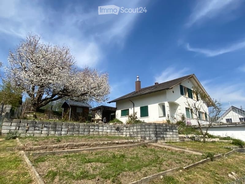Single-family house with white exterior, green shutters, and a chimney. The house is surrounded by a stone wall and a small garden area with a tree in bloom.