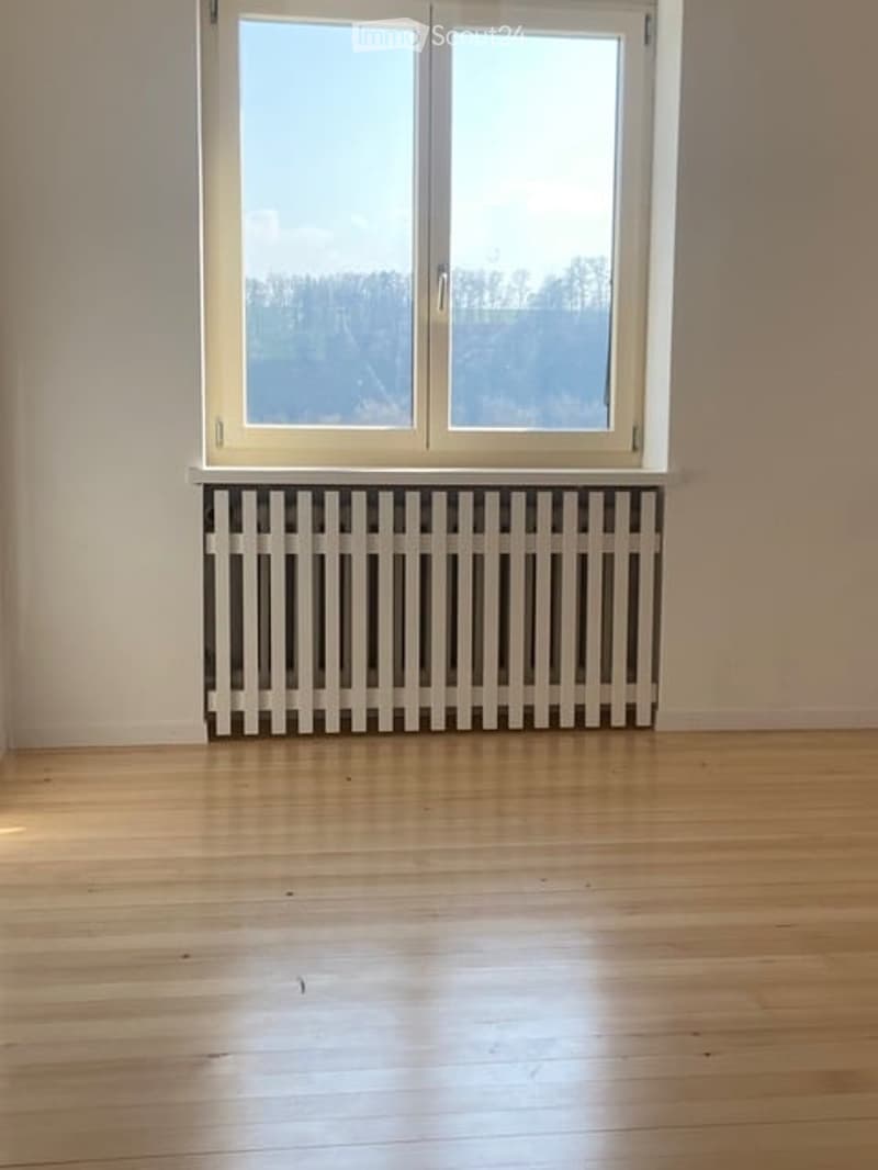 Empty room with wooden flooring, white walls, a radiator below a large window, and a view of trees outside.