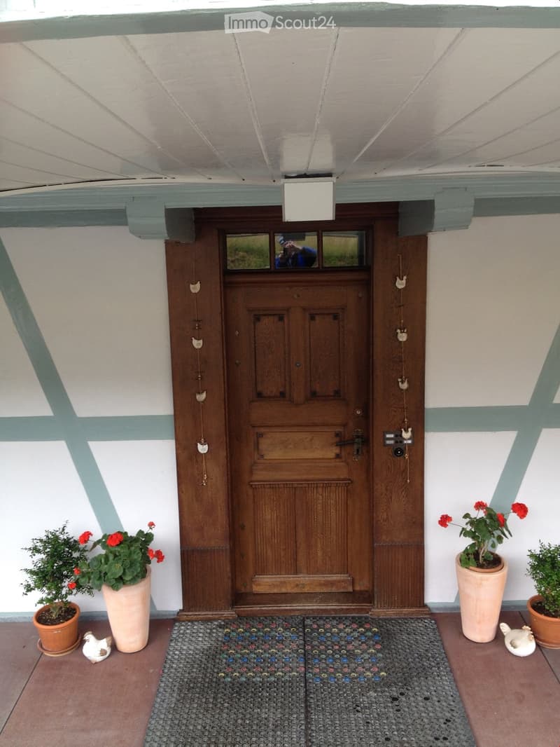 Entrance area with a wooden double door, potted plants with red flowers, decorative ceramic animals, and a colorful bottle cap doormat.
