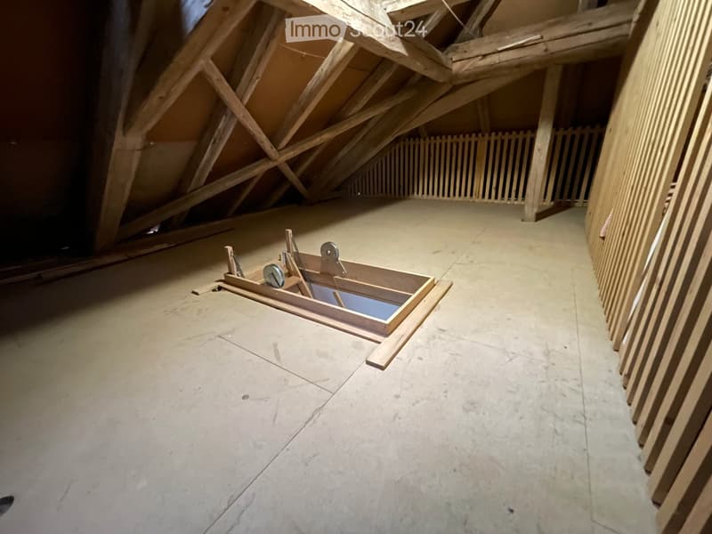3 1/2-Zimmer-Maisonettewohnung auf dem Ballenbühl mit toller Aussicht (17)