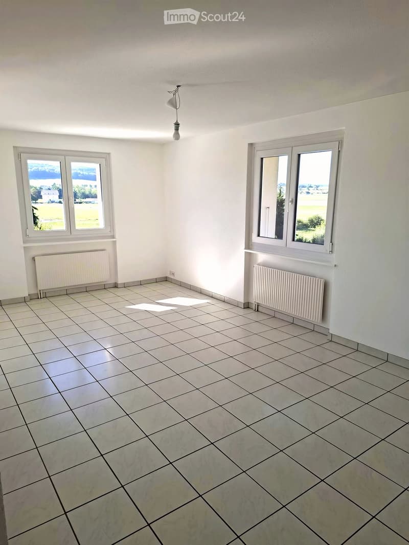 Empty room with white walls, tiled floor, two windows, radiators, and a single light fixture.