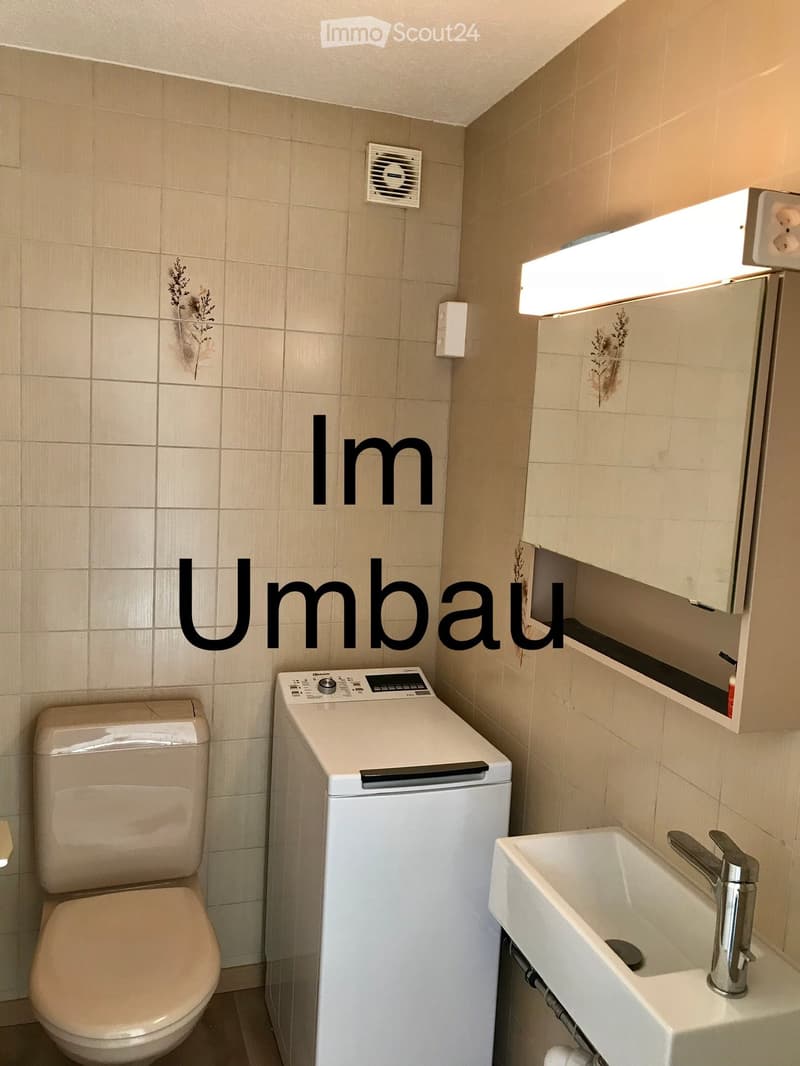 Bathroom with a toilet, sink, washing machine, and a mirror with a built-in light fixture. The walls are tiled with a decorative plant design.