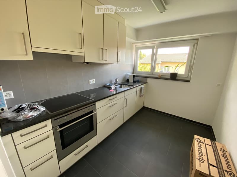 Modern kitchen with white cabinets, black countertop, stainless steel oven, sink, and faucet. There is a window with a view of greenery and a potted plant on the windowsill.