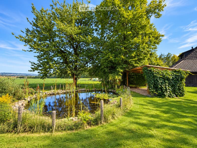 A well-maintained garden with a pond, surrounded by lush greenery, a wooden pergola, and a house in the background.