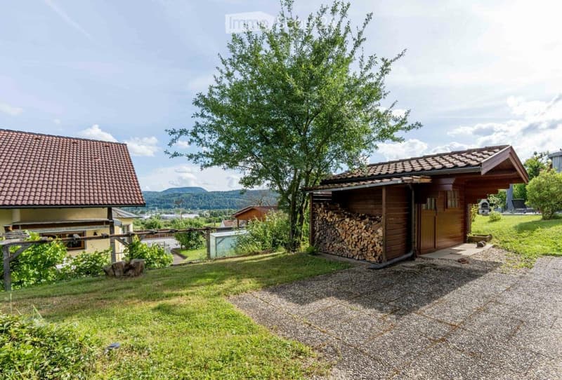 A rural outdoor setting with a wooden shed, a stack of firewood, a gravel driveway, and a house with a tiled roof in the background. The area is surrounded by greenery and trees, with a scenic mountain view in the distance.