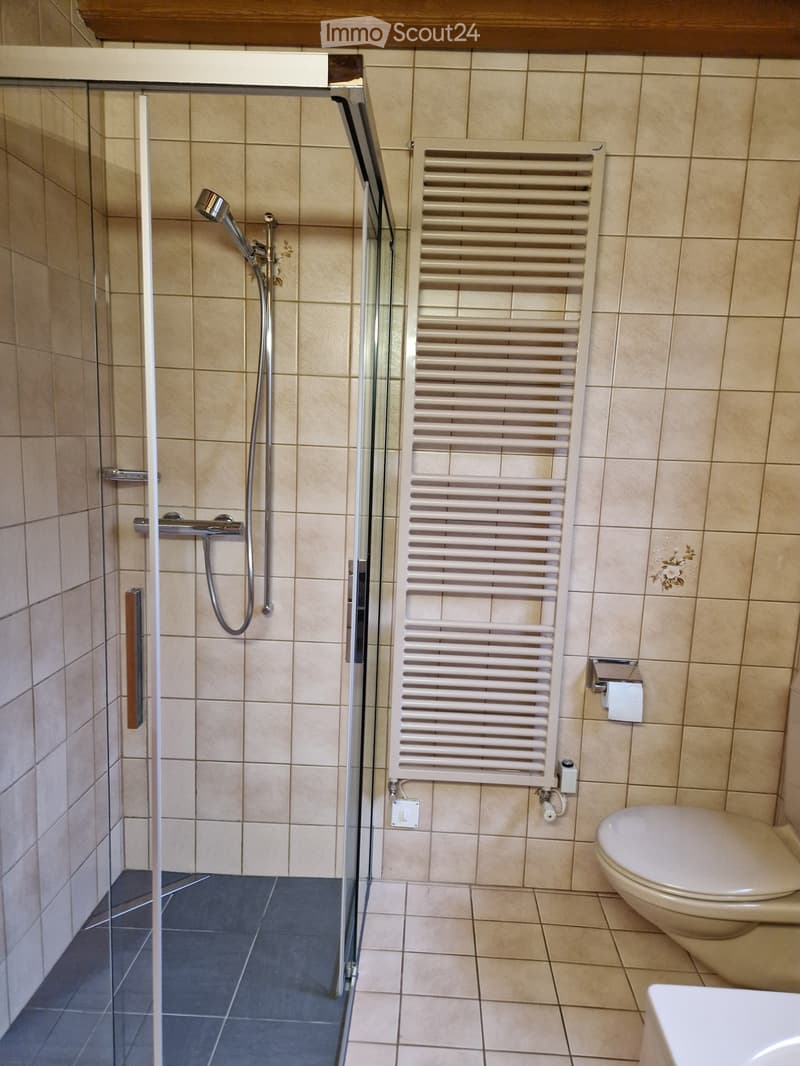 Modern bathroom with beige tiled walls, a glass-enclosed shower area, a white radiator, and a toilet. The shower features a handheld sprayer and a fixed showerhead.