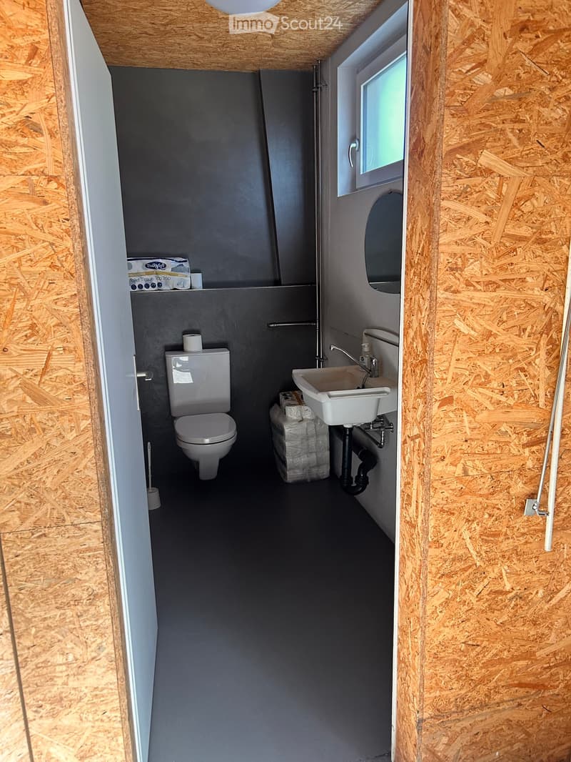 Compact bathroom with a toilet, sink, and mirror, featuring dark grey walls and a wooden-paneled exterior.