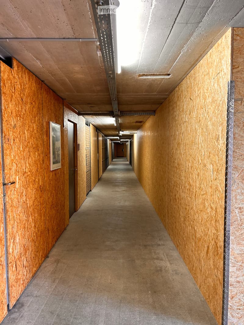 A long, narrow hallway with wooden panel walls, concrete ceiling, and carpeted floor. Doors line both sides, with a framed picture on the left wall.