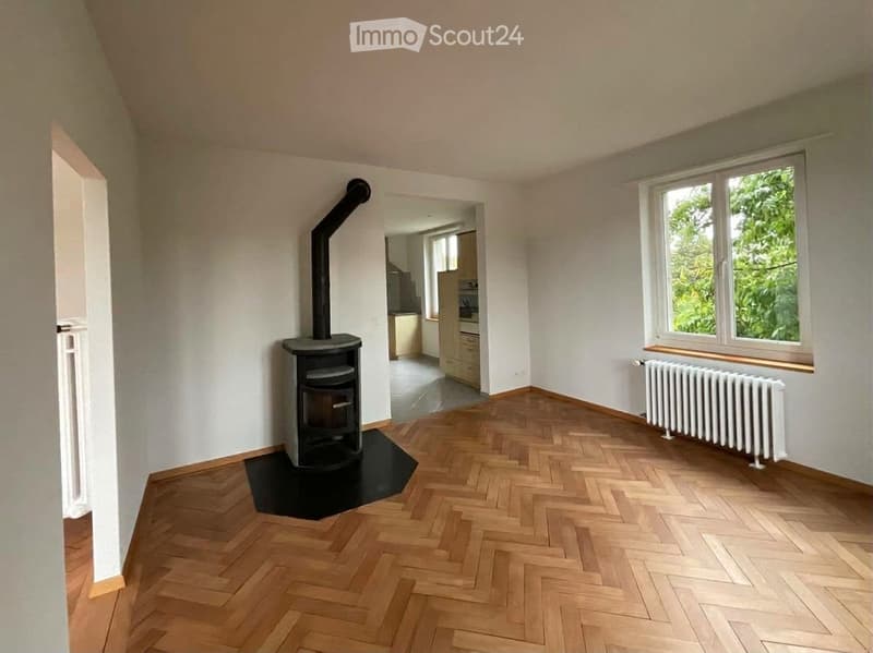 Empty room with wooden herringbone flooring, white walls, a wood-burning stove, radiator, and large window with view of greenery.