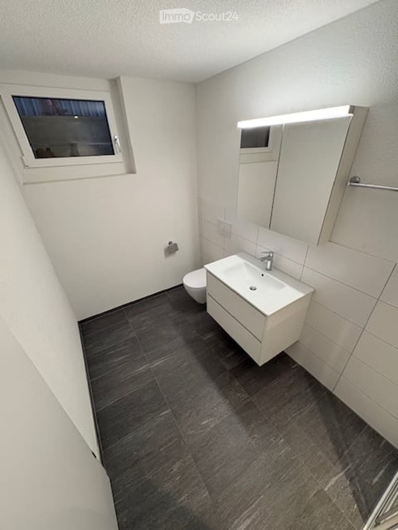 Modern bathroom with white walls, dark tiled floor, white sink, mirror, and toilet.