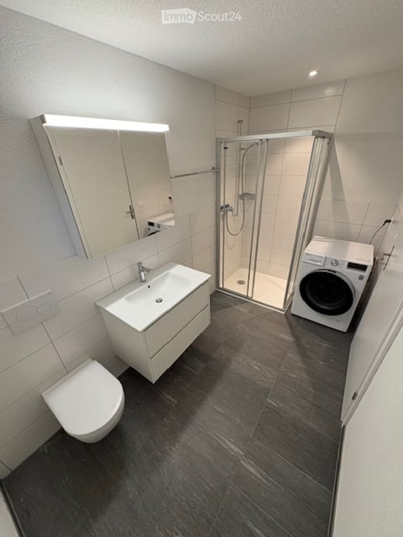 Modern bathroom with a white sink, mirror, toilet, glass-enclosed shower, and a private washing machine.