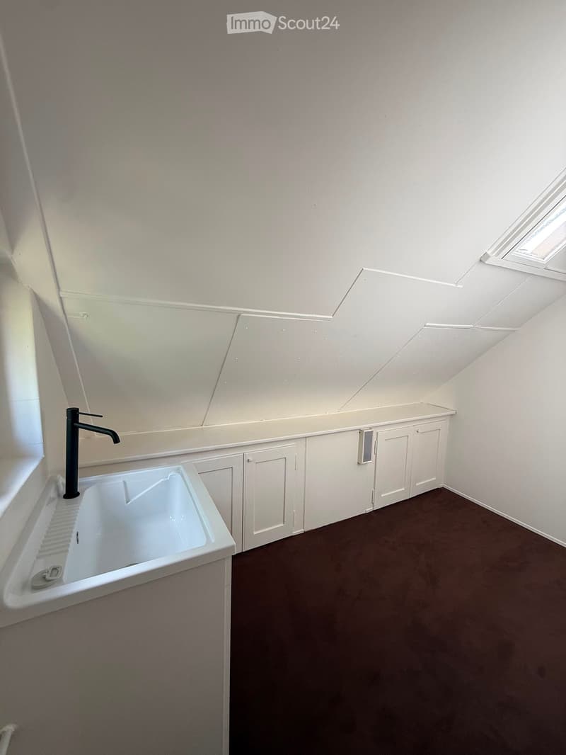 Modern bathroom with a white sink, sleek black faucet, and built-in white cabinets. The room features a sloped ceiling with skylights and brown carpeted flooring.