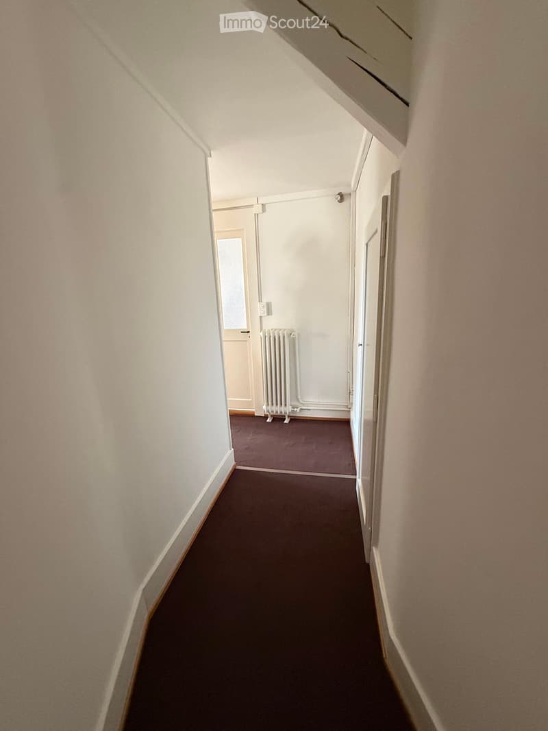 A narrow hallway with beige walls, dark carpeting, and a radiator visible in the background. The hallway leads to a door with a frosted glass panel.