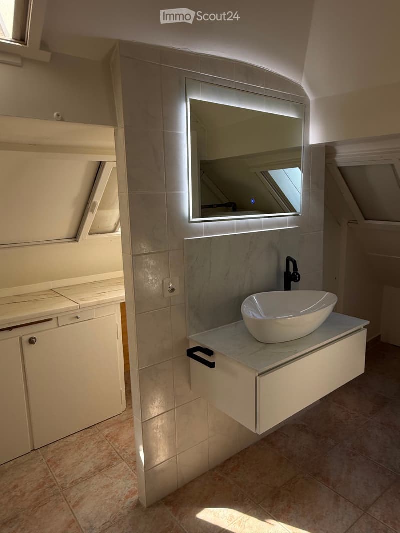 Modern bathroom with a white sink, large mirror, and built-in cabinetry. The sink has a sleek, contemporary design with a modern faucet.