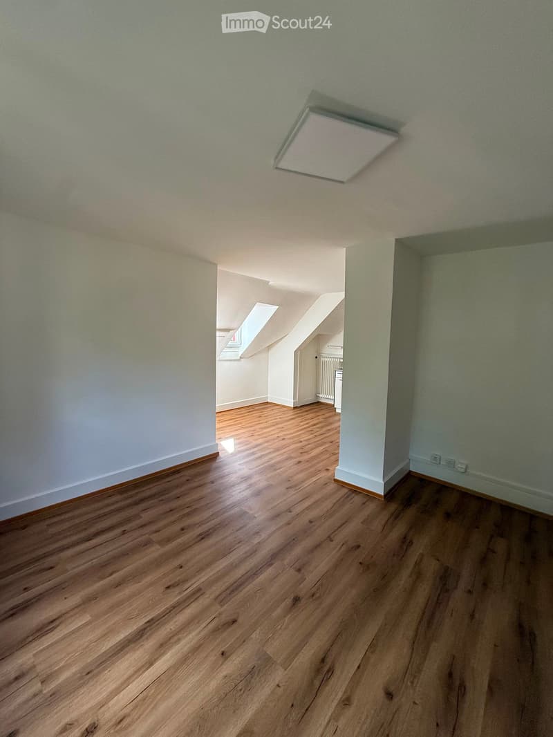 Empty room with wooden flooring and white walls, featuring a skylight and a visible adjacent room with a radiator.