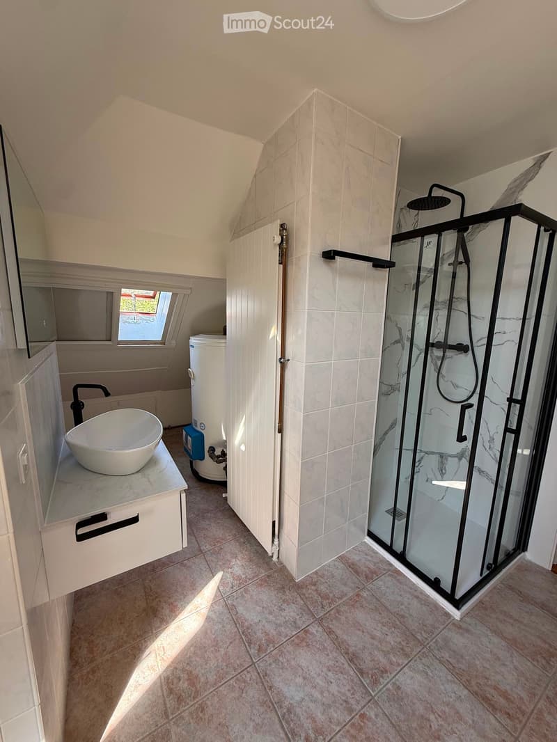 Modern bathroom with a white sink, glass-enclosed shower, and a skylight window providing natural light.