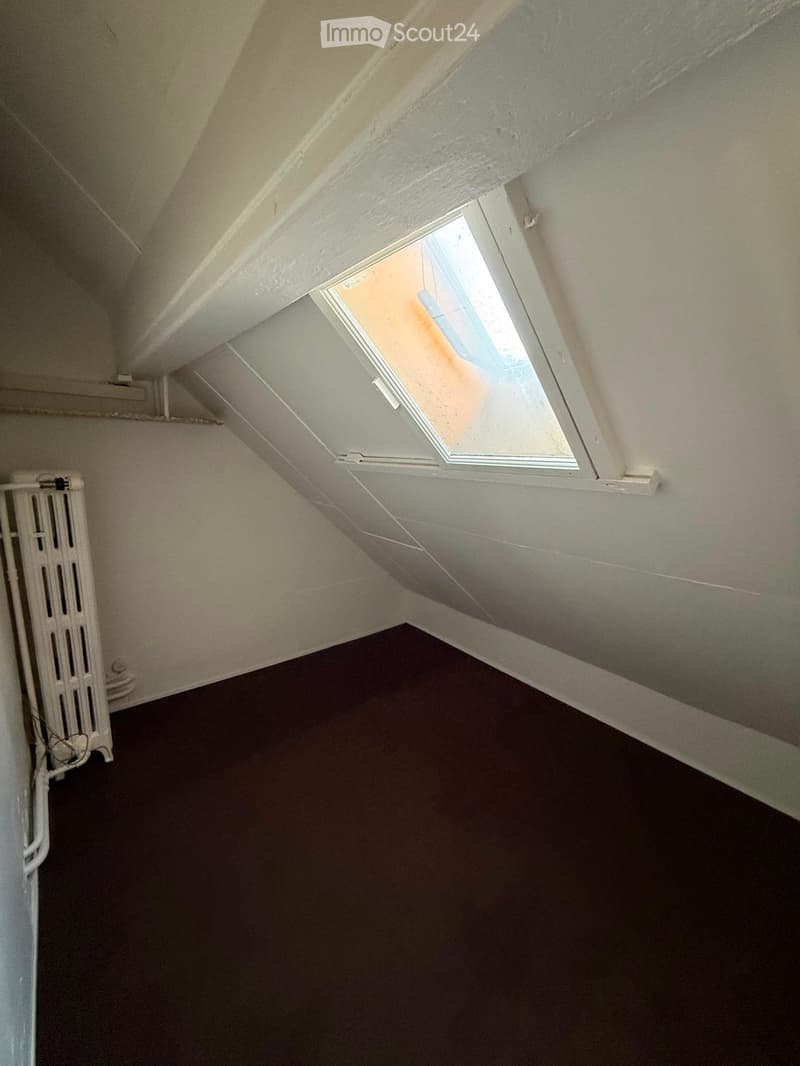 Empty attic space with sloped ceilings, dark carpeted floor, white walls, and a single skylight window allowing natural light.